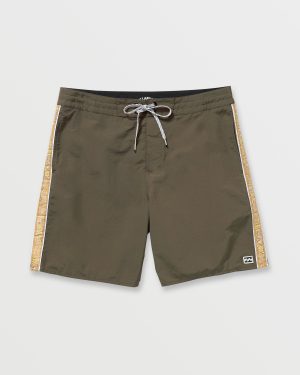 Wategos Lo Tide 19 Boardshorts – Brown