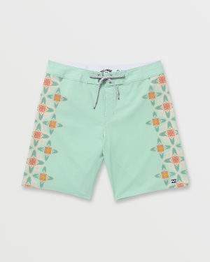 Framelines Pro Boardshorts – Mist Green
