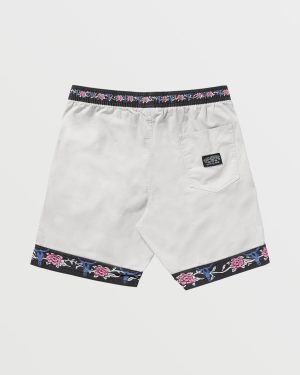 Occy Larry Shorts – Silver