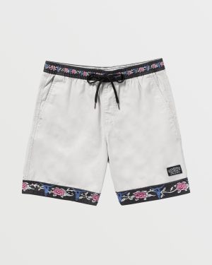 Occy Larry Shorts – Silver