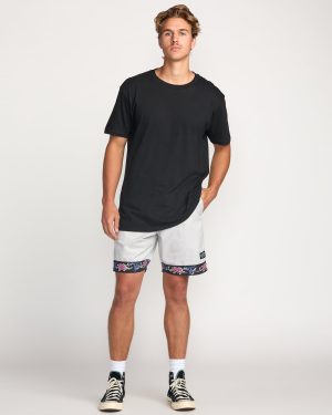 Occy Larry Shorts – Silver