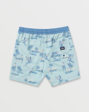 Good Times Laybacks 16 Trunks – Dusty Blue