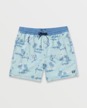 Good Times Laybacks 16 Trunks – Dusty Blue