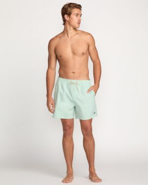 Every Other Day Laybacks 16 Trunks – Seafoam