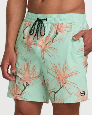 Sundays Laybacks 17 Trunks – Seafoam