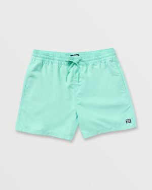All Day Laybacks 16 Trunks – Bermuda