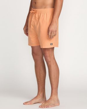 All Day Laybacks 16 Trunks – Tangerine