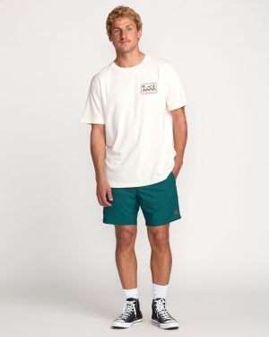 Surftrek Elastic Submersible 17 Hybrid Shorts – Marine