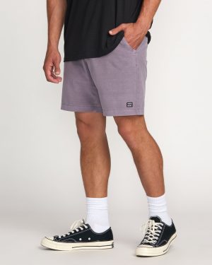 Crossfire Wave Wash Submersible 18 Hybrid Shorts – Light Purple