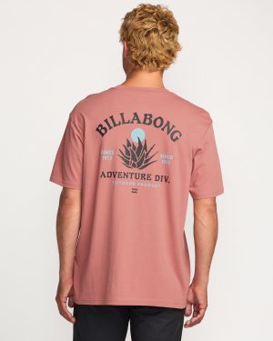 A/Div Agave Tee – Dusty Rose