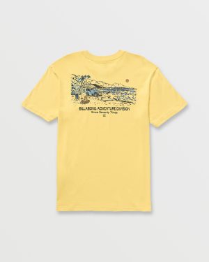 Setup A/Div Tee – Lemon