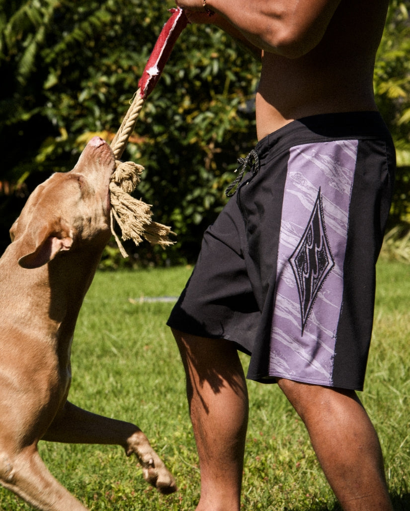 Framelines Pro Boardshorts - Black