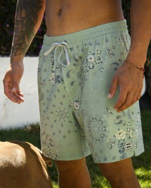 Good Times Laybacks 16 Trunks – Mist Green