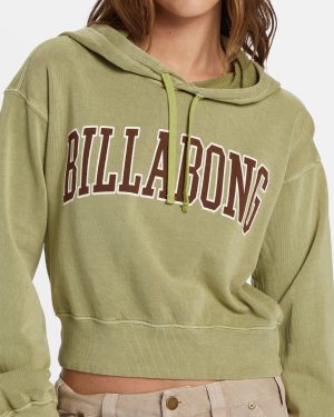 All Time Fleece Pullover Sweatshirt – Avocado